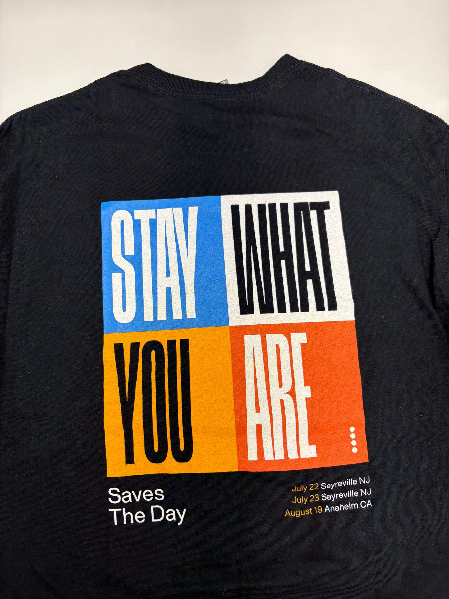 SAVES THE DAY 2021 Stay What You Are Tour T-Shirt